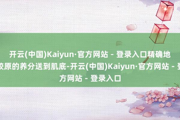 开云(中国)Kaiyun·官方网站 - 登录入口精确地将补充胶原的养分送到肌底-开云(中国)Kaiyun·官方网站 - 登录入口