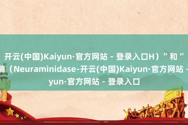 开云(中国)Kaiyun·官方网站 - 登录入口H）”和“神经氨酸酶（Neuraminidase-开云(中国)Kaiyun·官方网站 - 登录入口