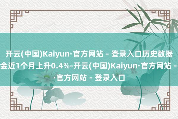 开云(中国)Kaiyun·官方网站 - 登录入口历史数据走漏该基金近1个月上升0.4%-开云(中国)Kaiyun·官方网站 - 登录入口